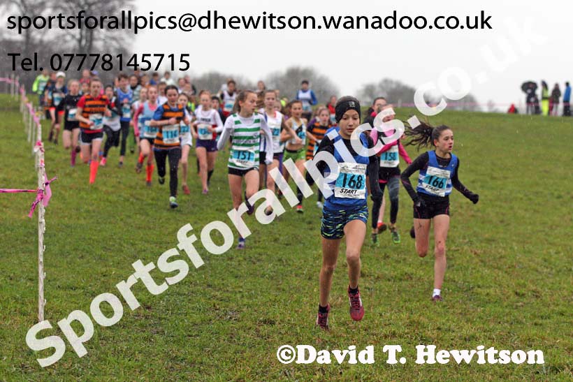 Girls under-13s North Eastern Cross Country, Sedgefield, County Durham. Photo: David T. Hewitson/Sports for All Pics